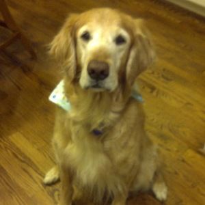 Meet your Posher, Gerald